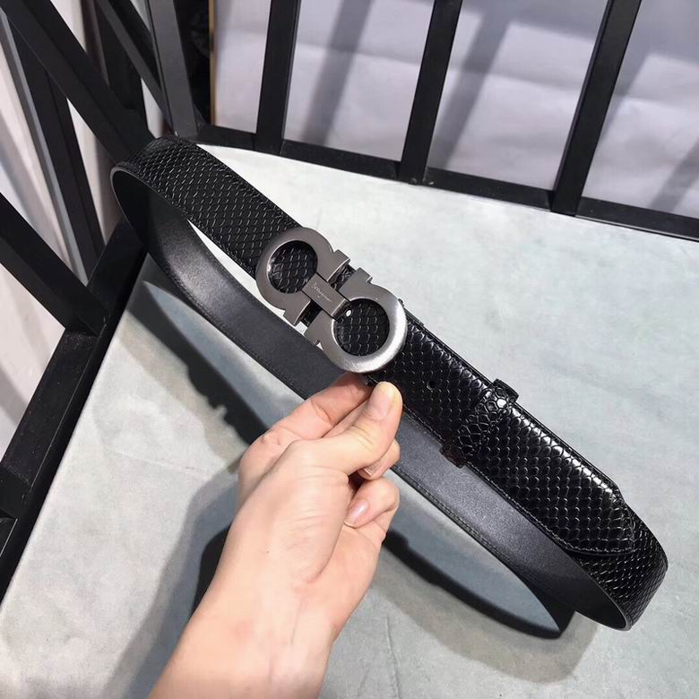 Ferragamo 34mmX95-125 7D270